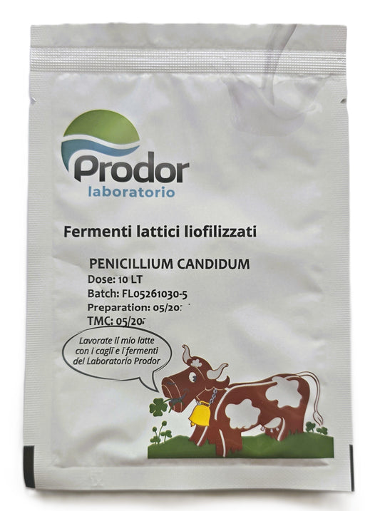 Penicillium Candidum - Dose: 10LT - white mold cheeses, such as Camembert, Brie